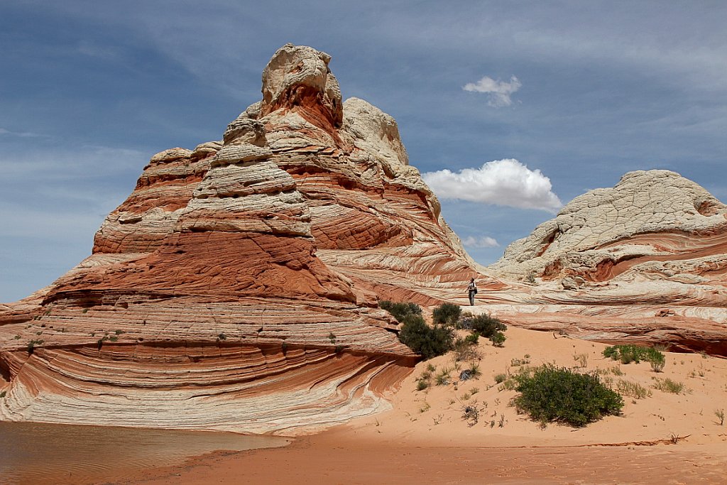 США. Белый карман.