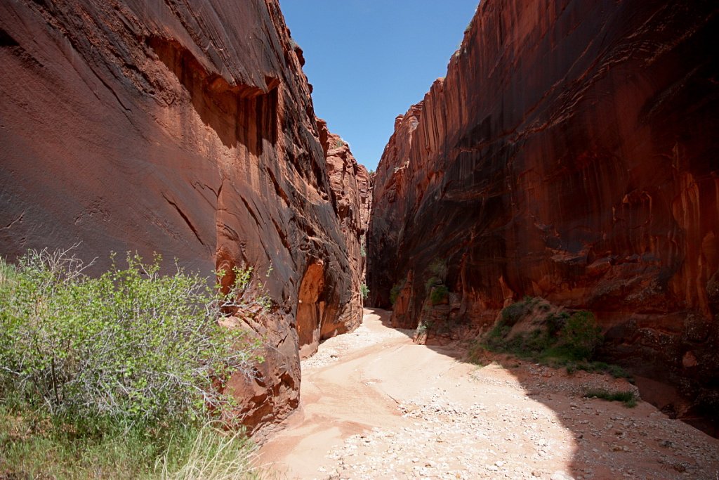СЩА. Buckskin Gulch.