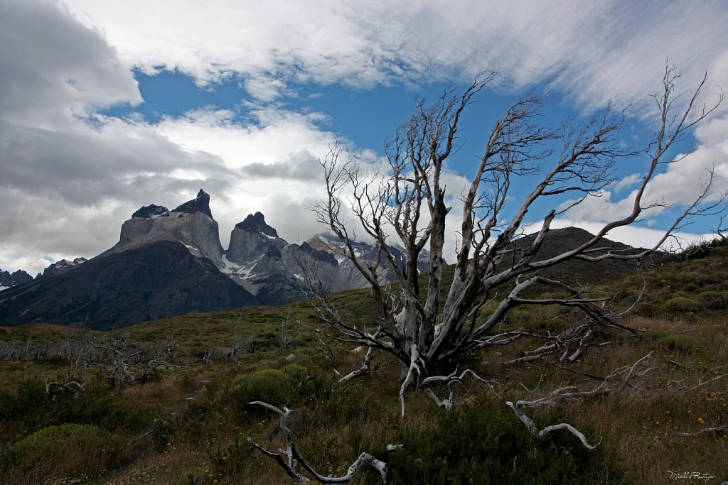 Чили, Torres del Paine